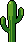Cactus 3